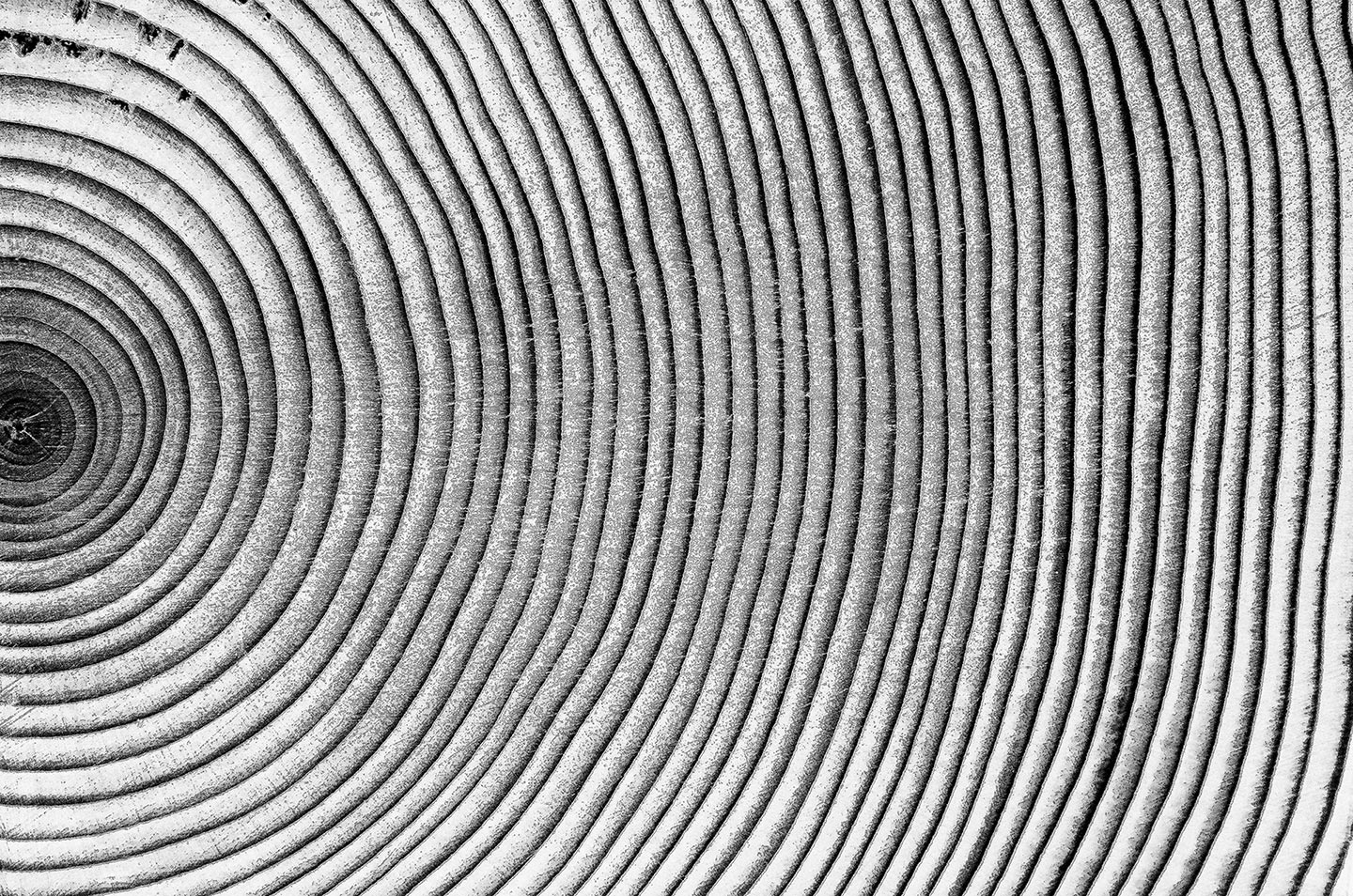 Hintergrund Featured Element